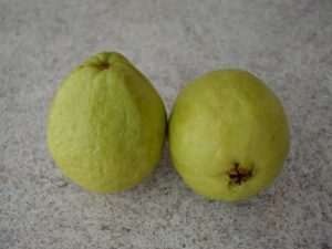 Guava fruit Madagascar