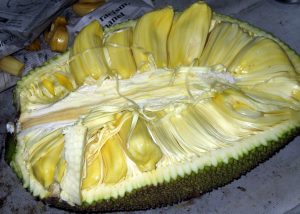 Jackfruit delicious on madagascar