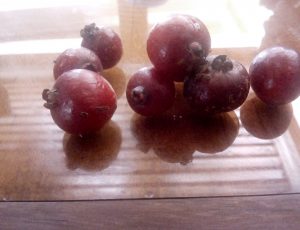 Guavatsina, strawberry guava, aardbijguava