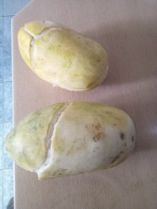 voagambo, snap melon, snoep meloen