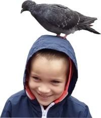 Simeon with a pigeon on his head