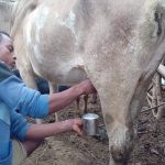 05-we-werden-goed-ontvangen-in-de-avond-1